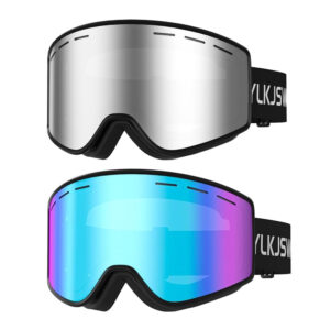 YL-SKI100 A2